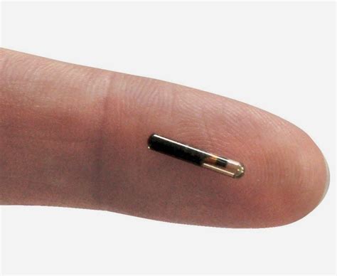 Human Microchipping: An Unbiased Look at the Pros 